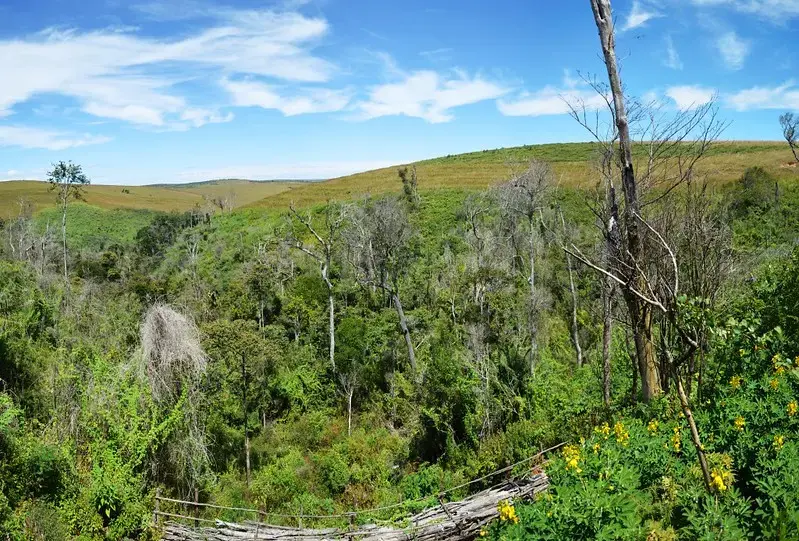 12è édition du Salon Voatra