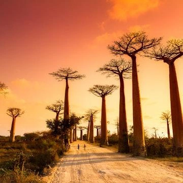 Antananarivo, capitale du jazz — Madajazzcar