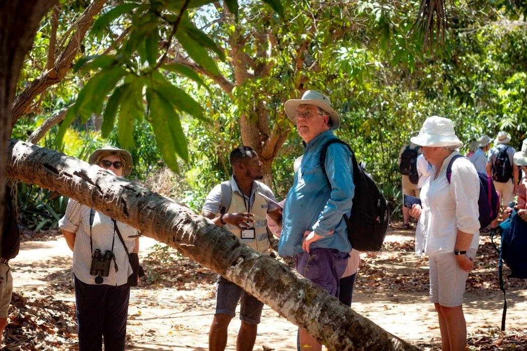 Description de l'image