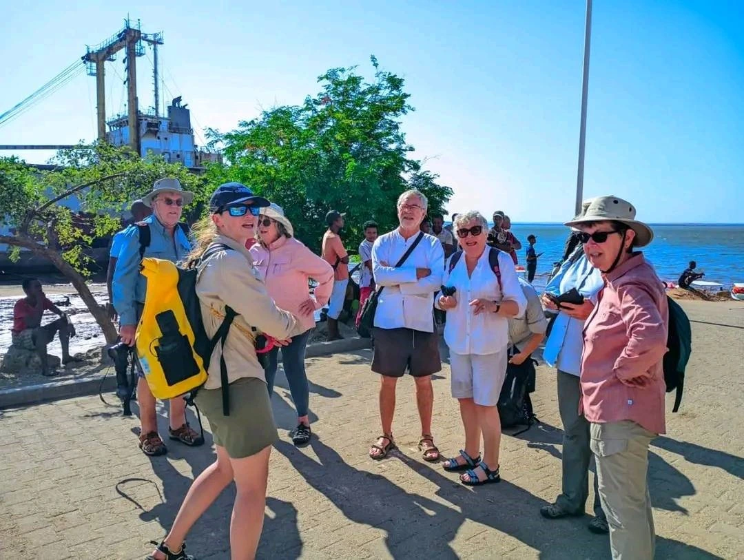 Description de l'image