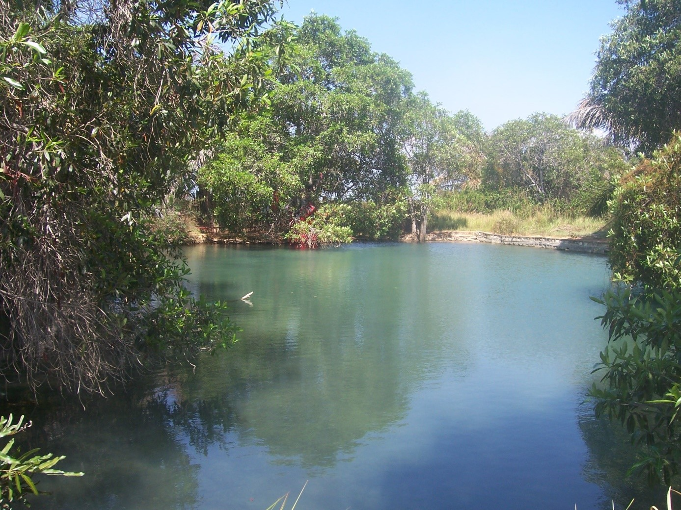 Description de l'image