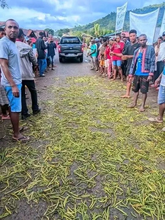 Filière vanille malgache