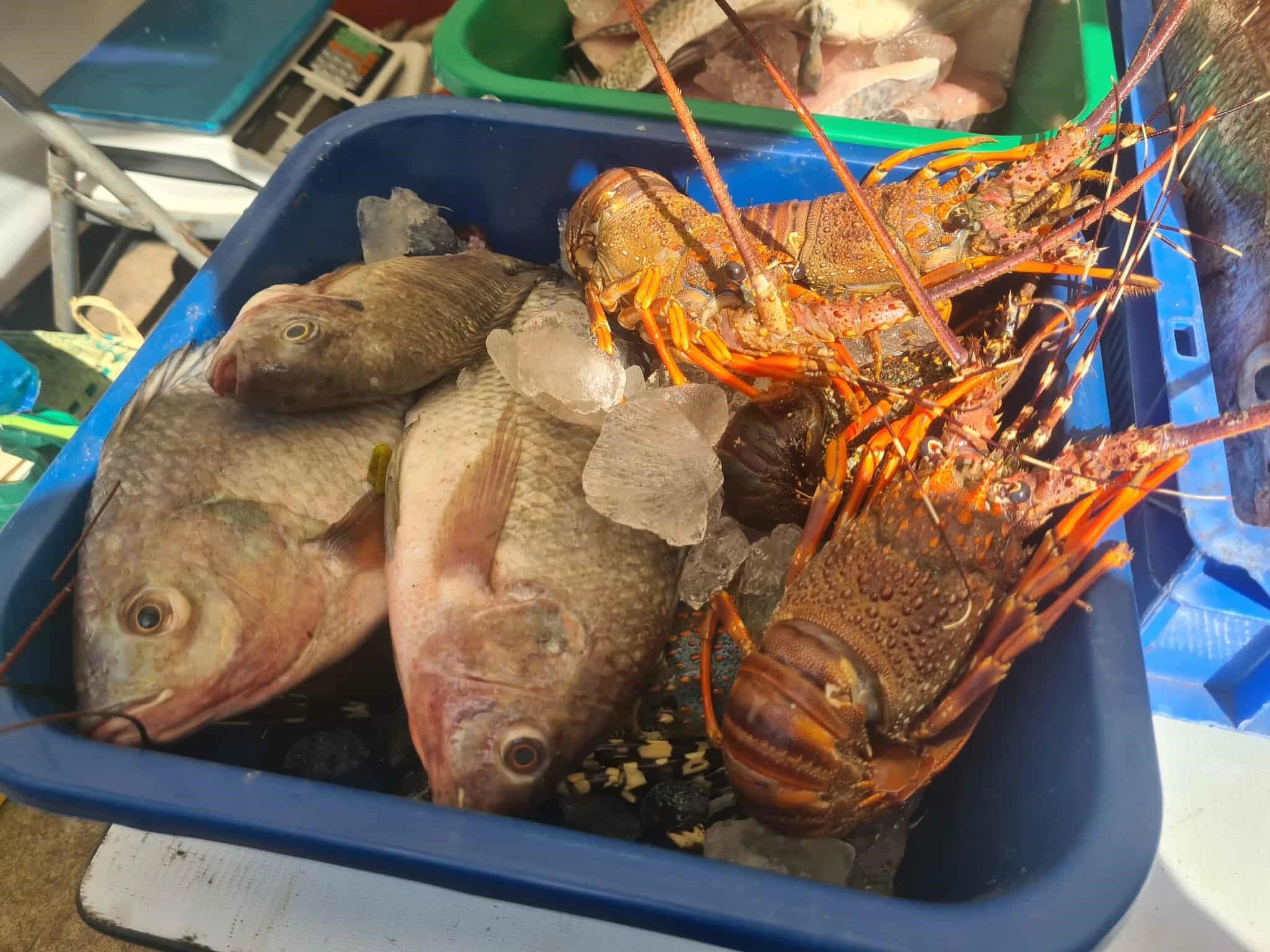 Description de l'image