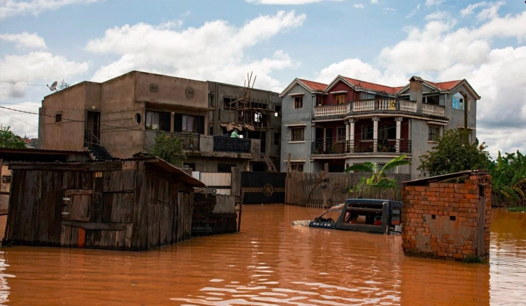 Description de l'image