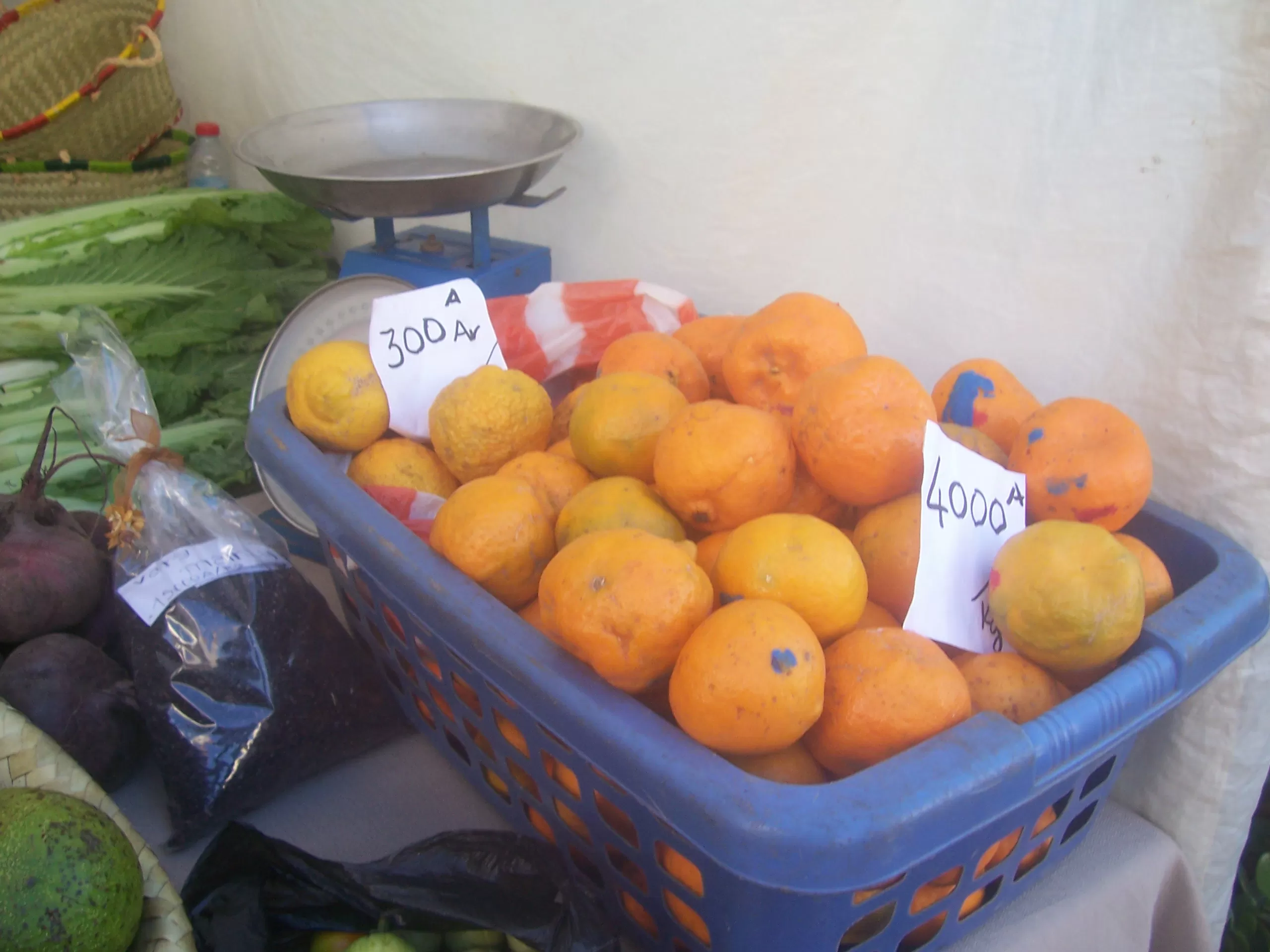 Description de l'image