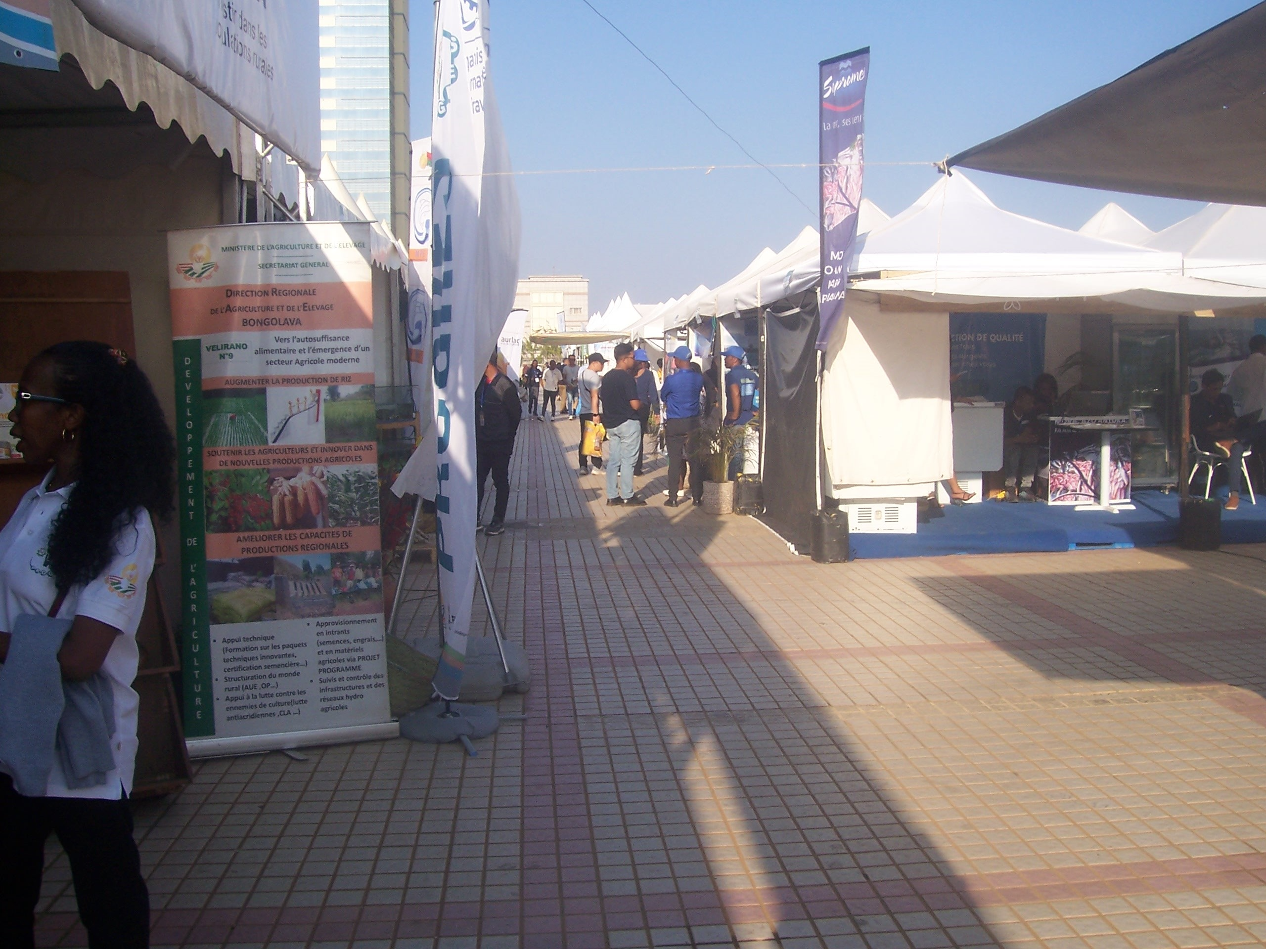 Description de l'image