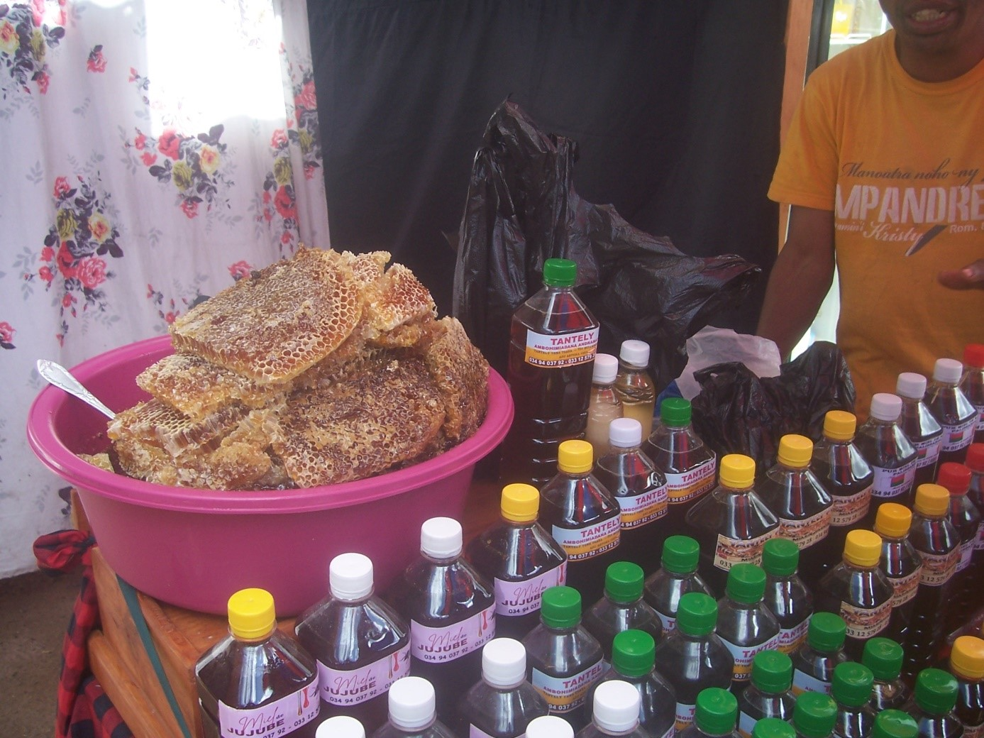 Description de l'image