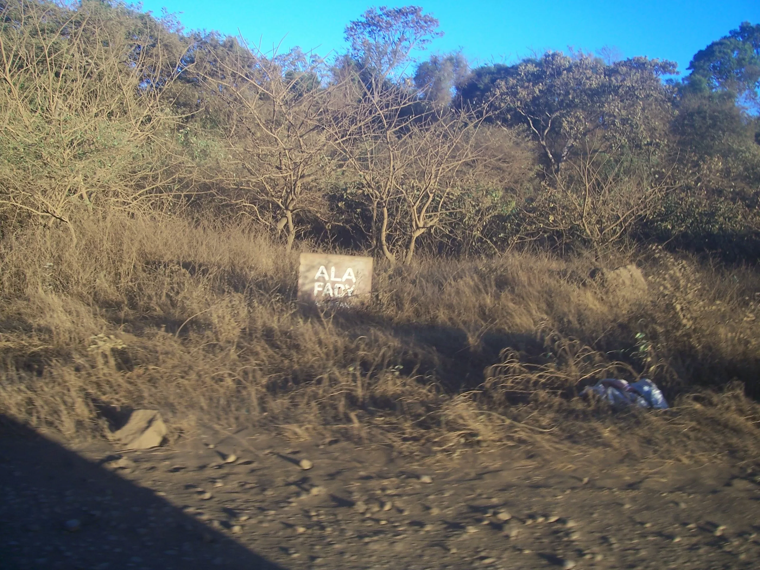 Forêts protégées Madagascar