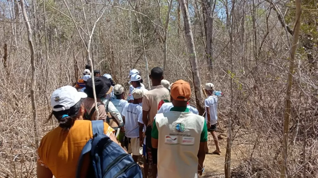 Description de l'image