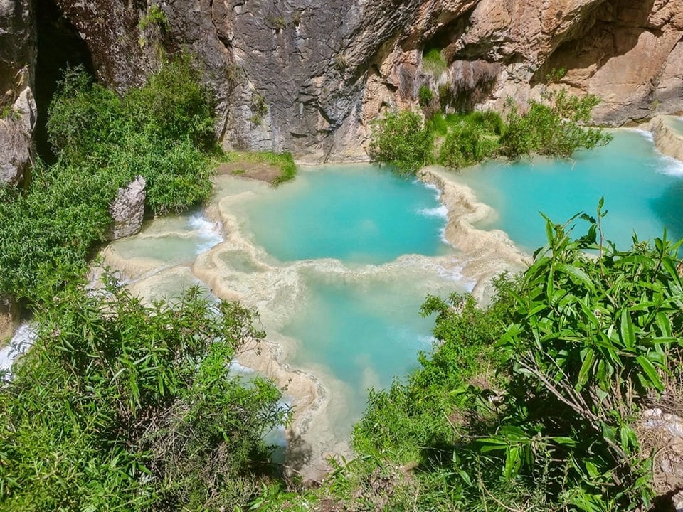 Description de l'image