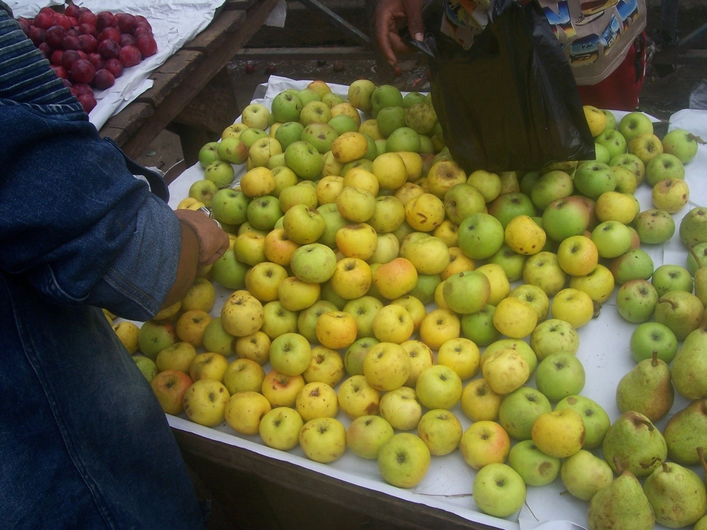 Description de l'image