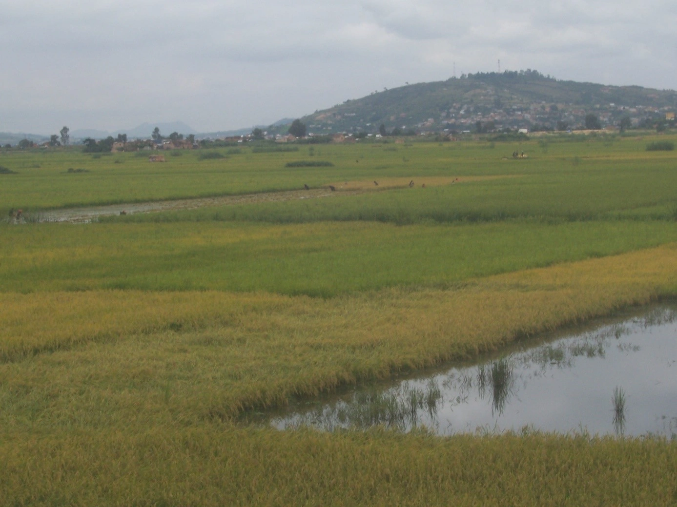 : Lemak’Antananarivo