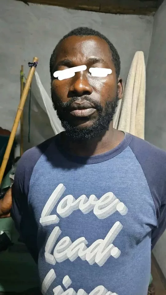 Description de l'image