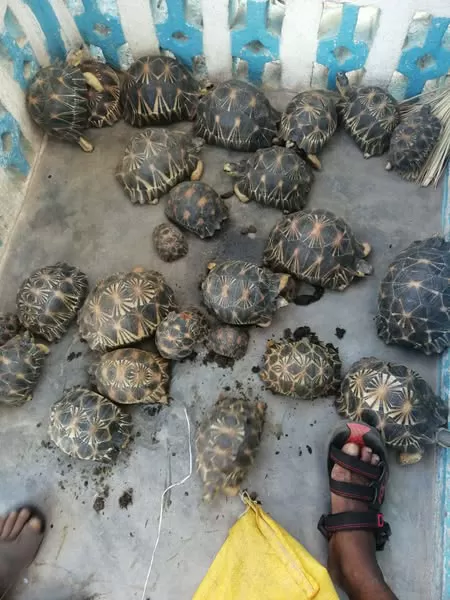 Description de l'image