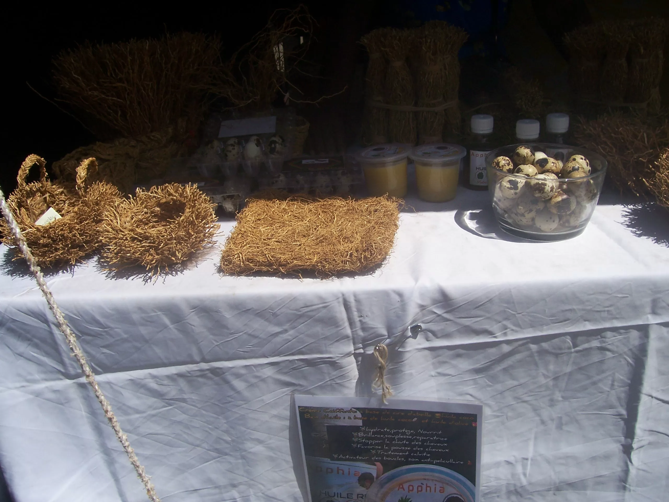 Description de l'image