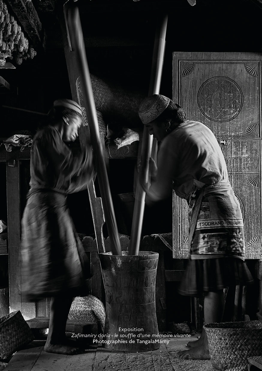 Description de l'image