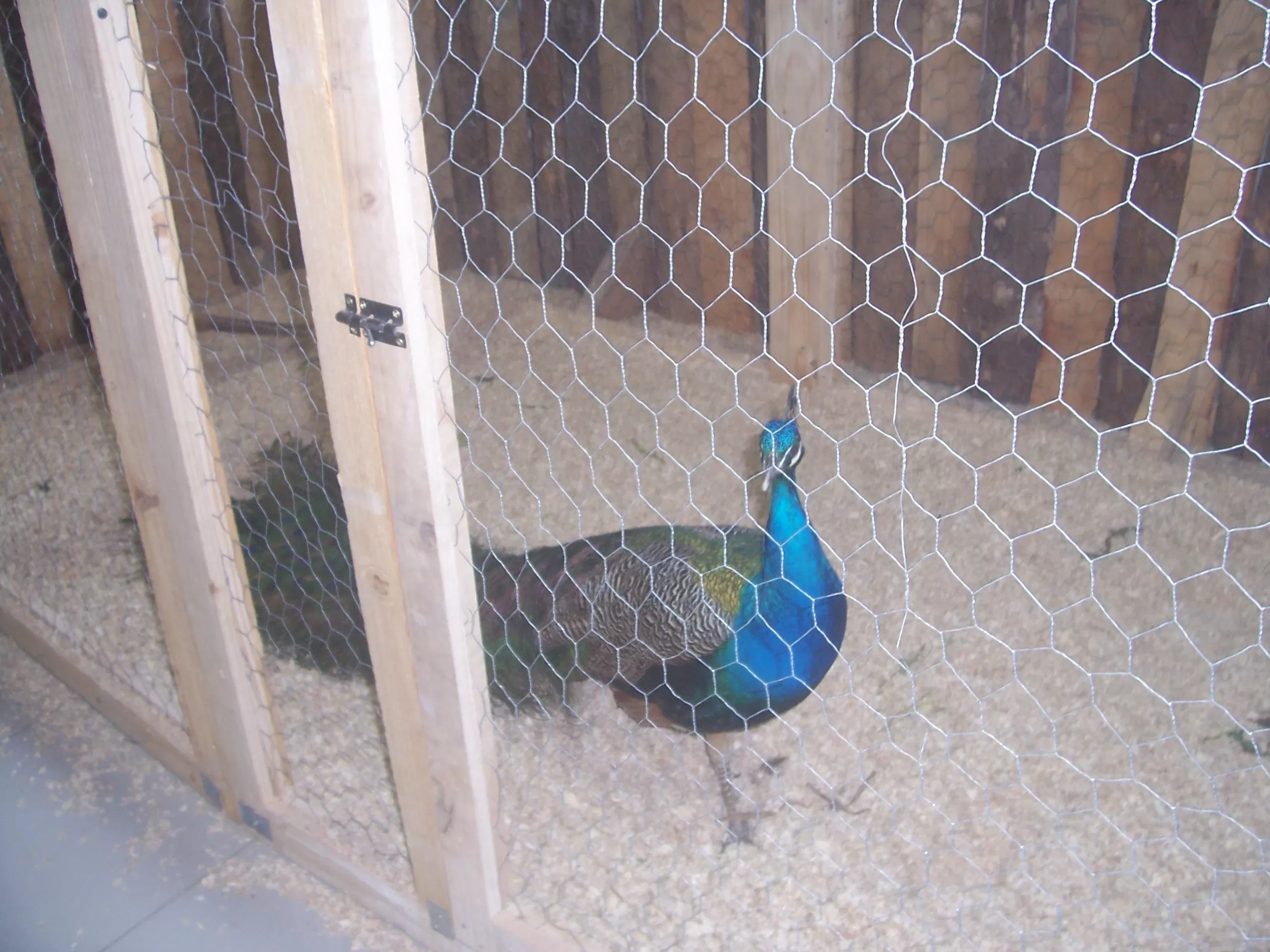 Description de l'image