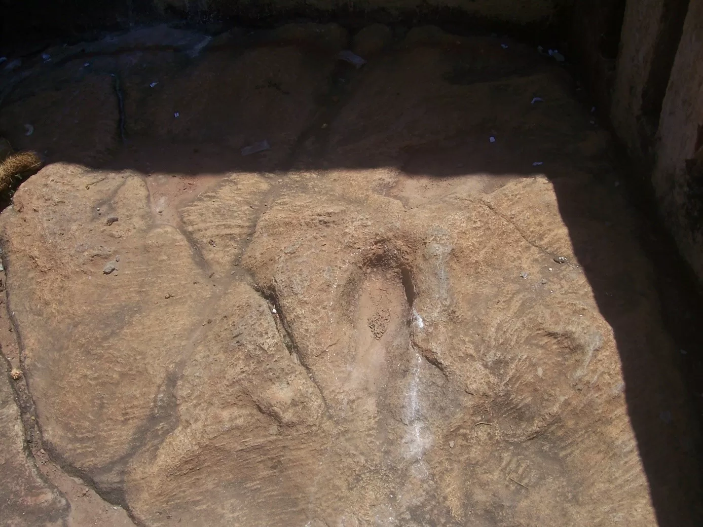 Description de l'image