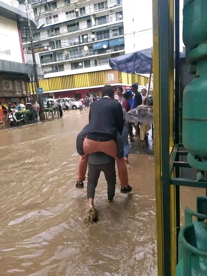 Description de l'image