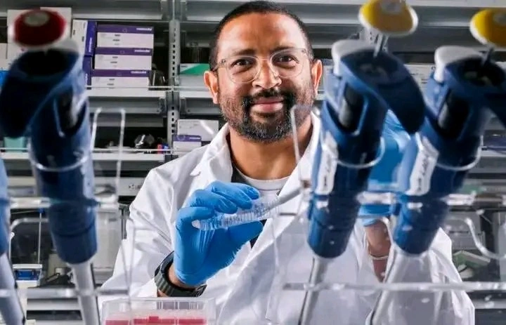 Description de l'image