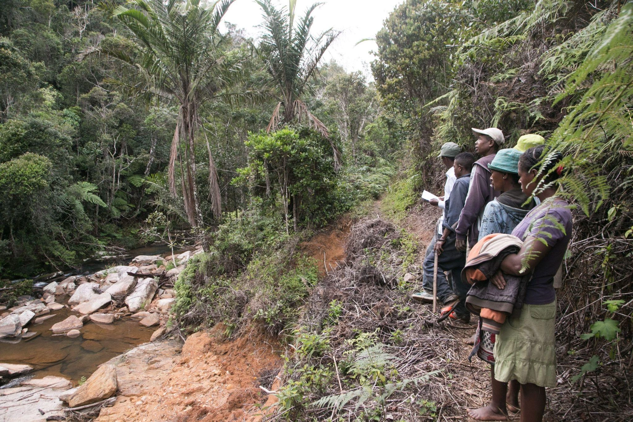 Biodiversité de Madagascar