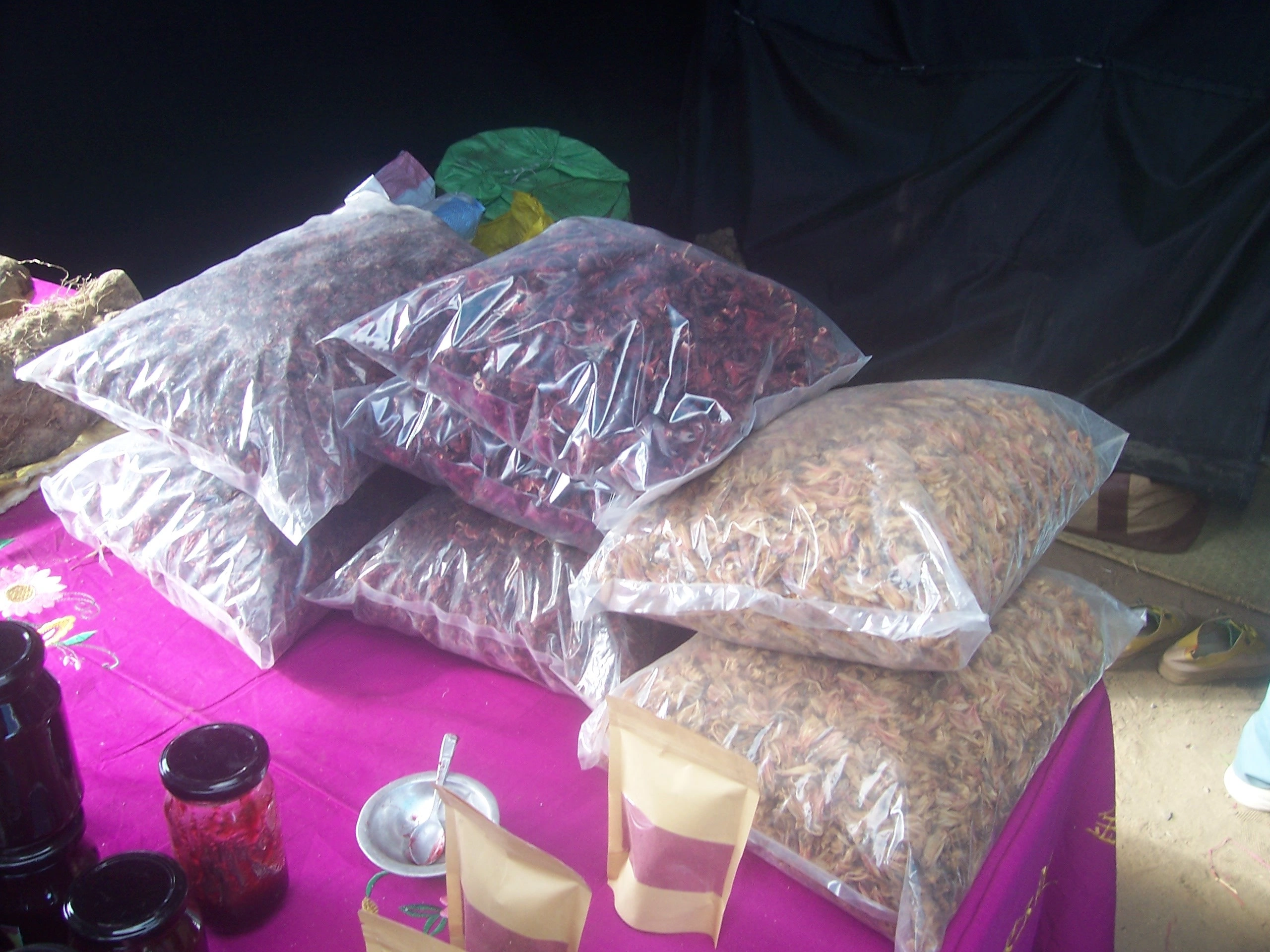 Description de l'image