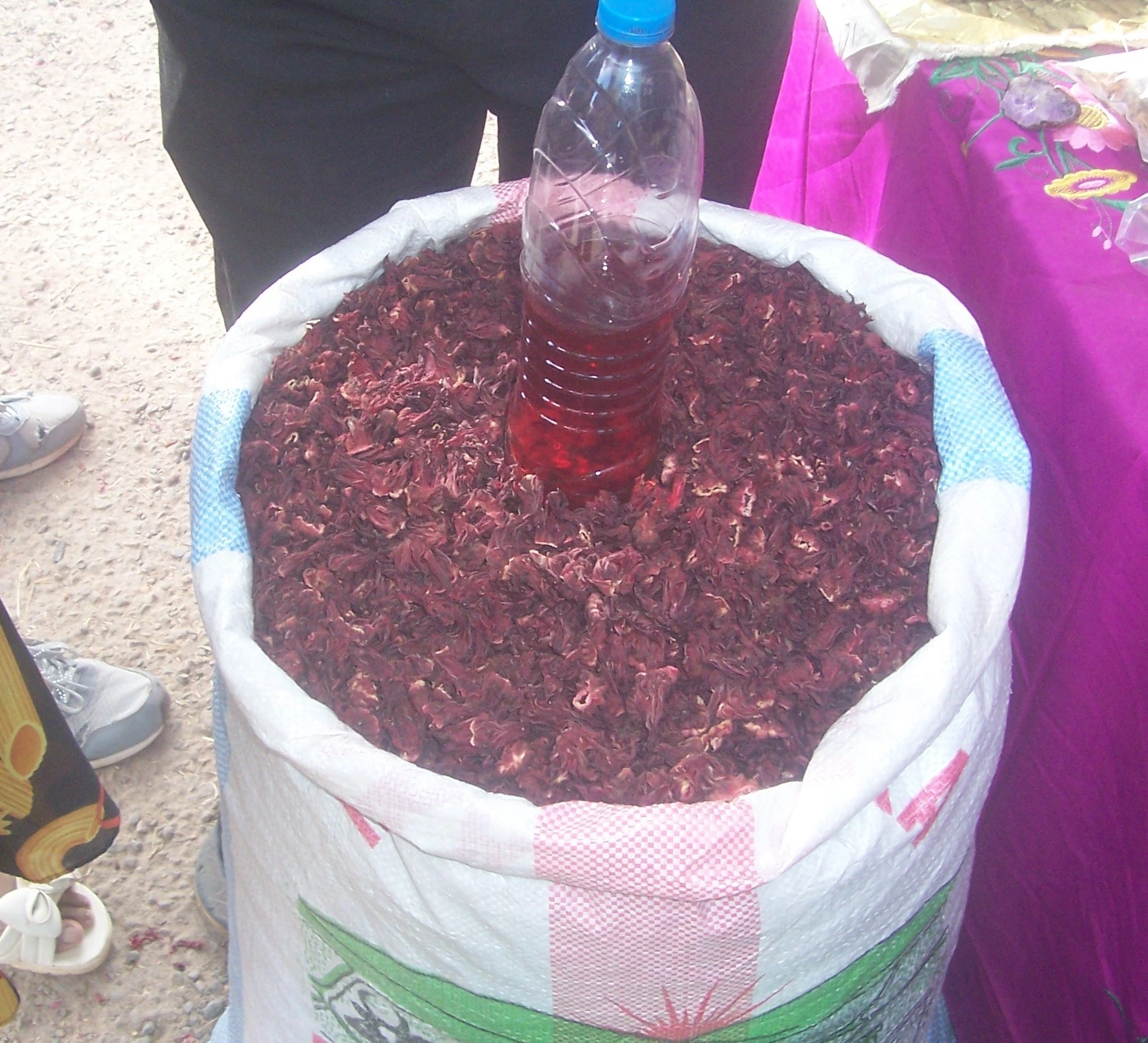 Description de l'image