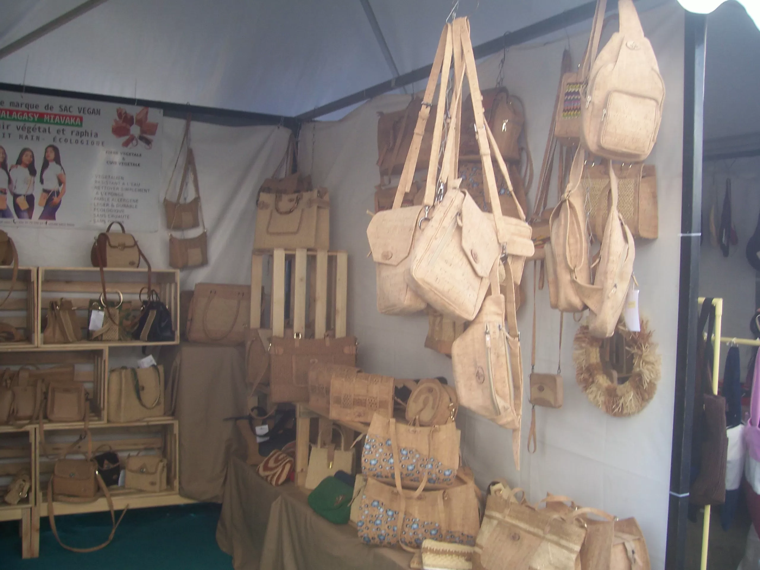 Description de l'image