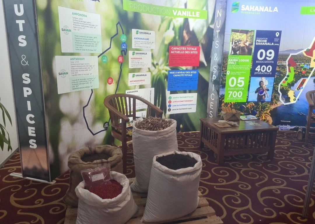 Description de l'image