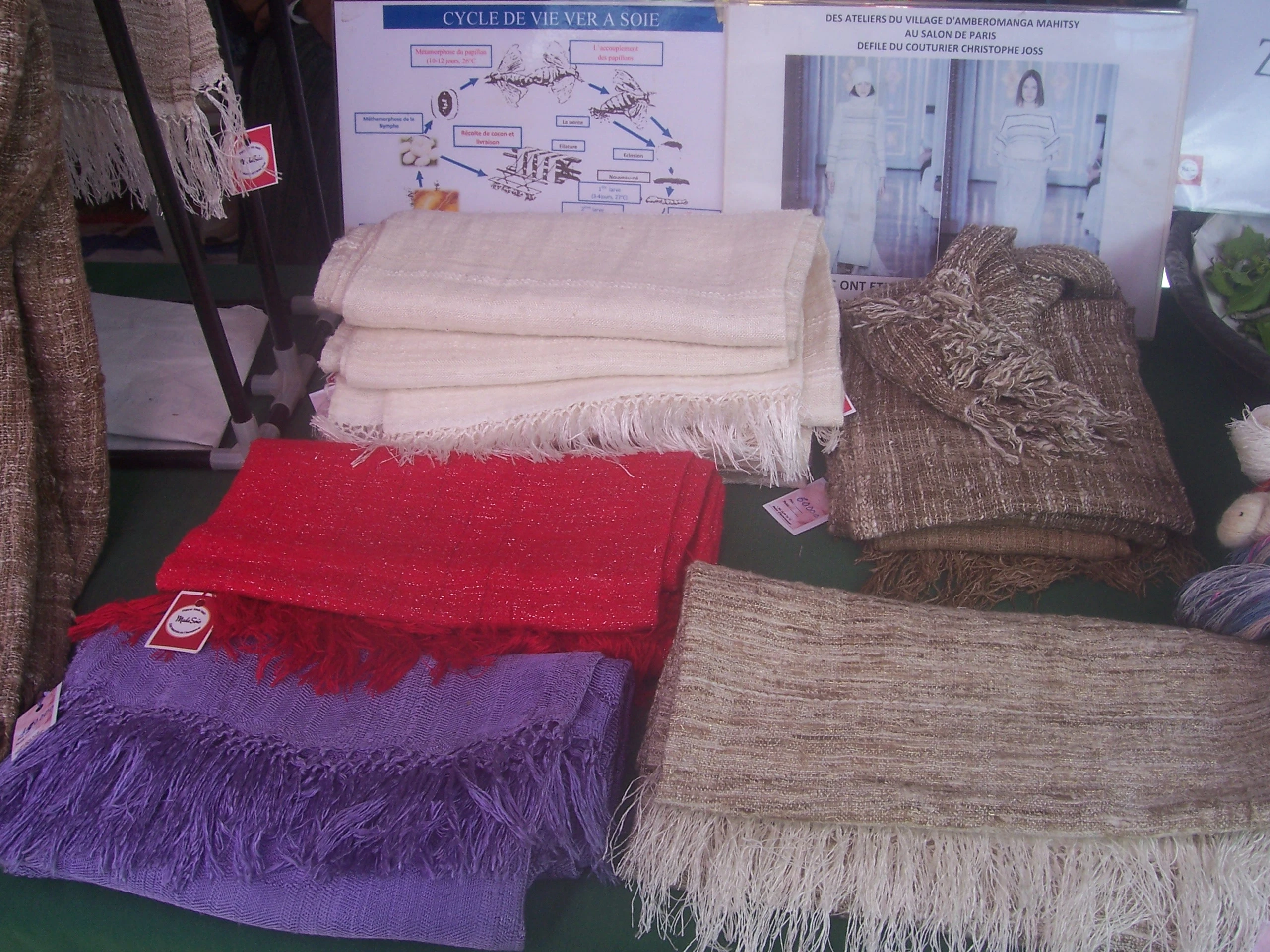 Description de l'image