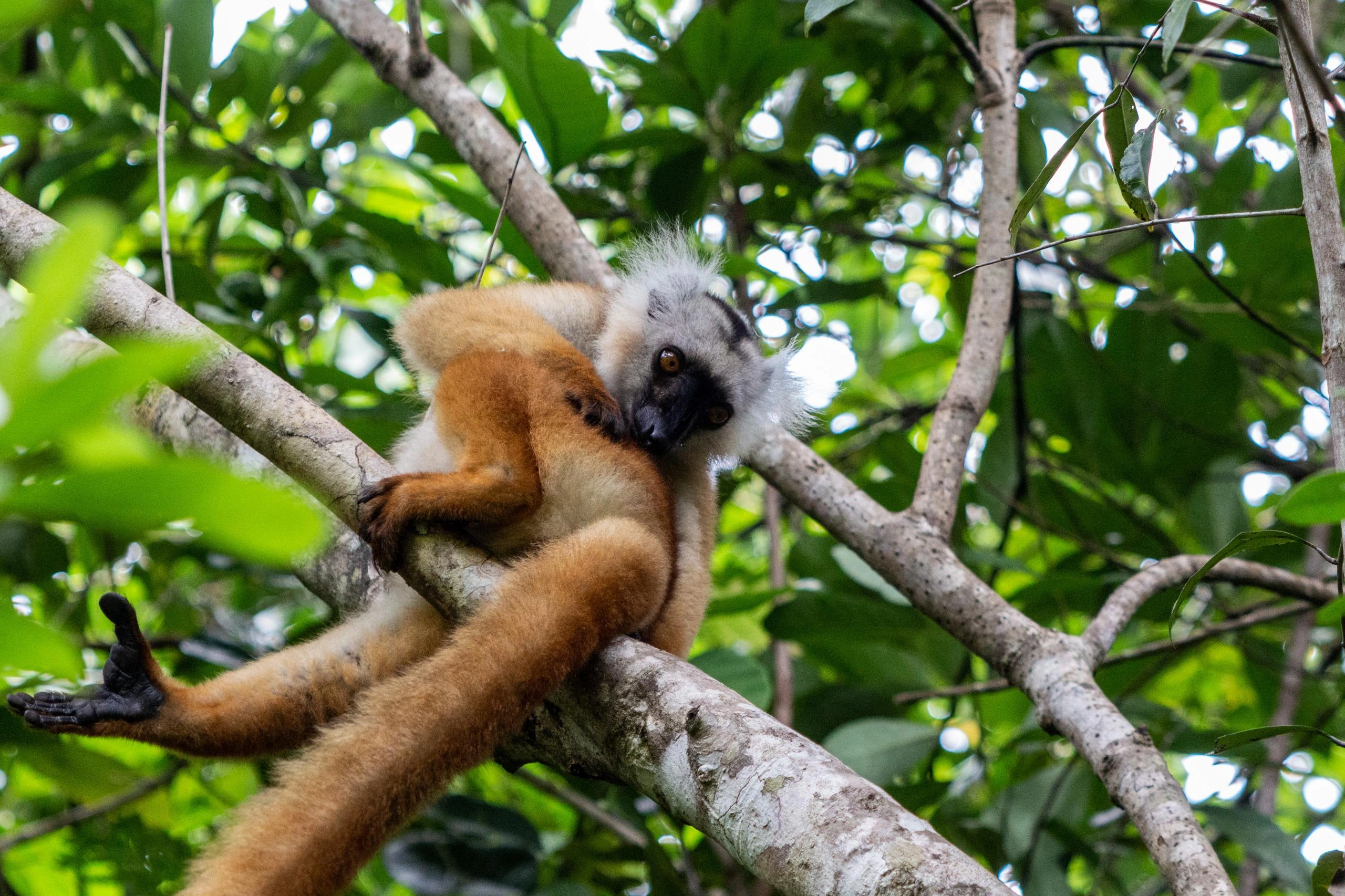 Tourisme Madagascar