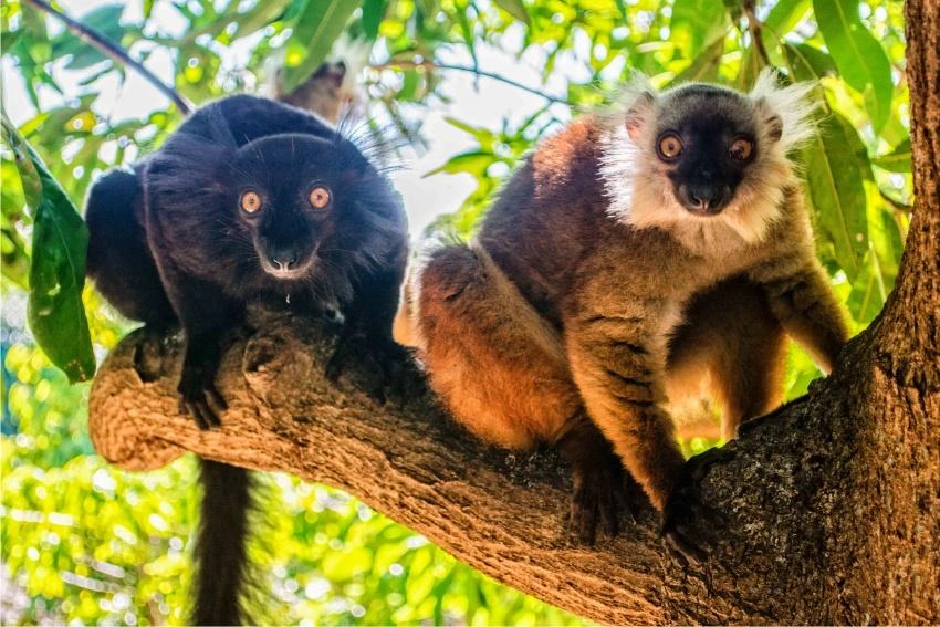 Tourisme Madagascar