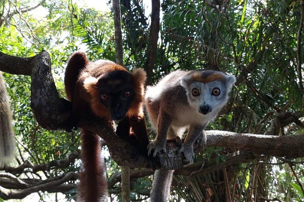 Tourisme Madagascar