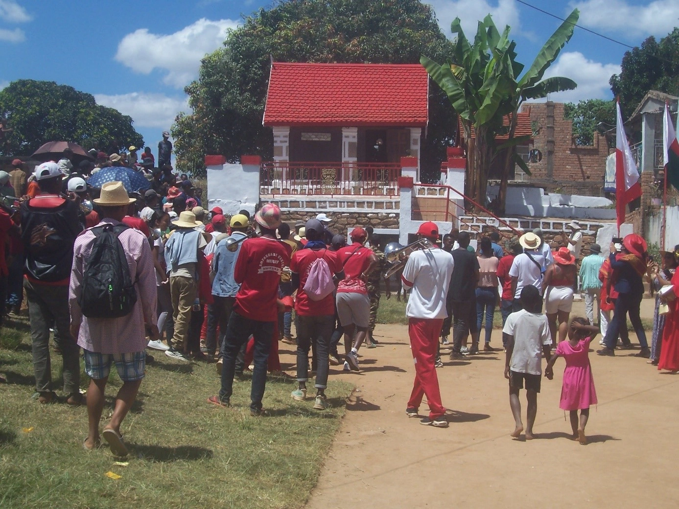 bœufs destines abattage