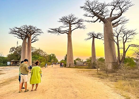Destination Madagascar - Voyage, Hébergement, Sites et Circuits