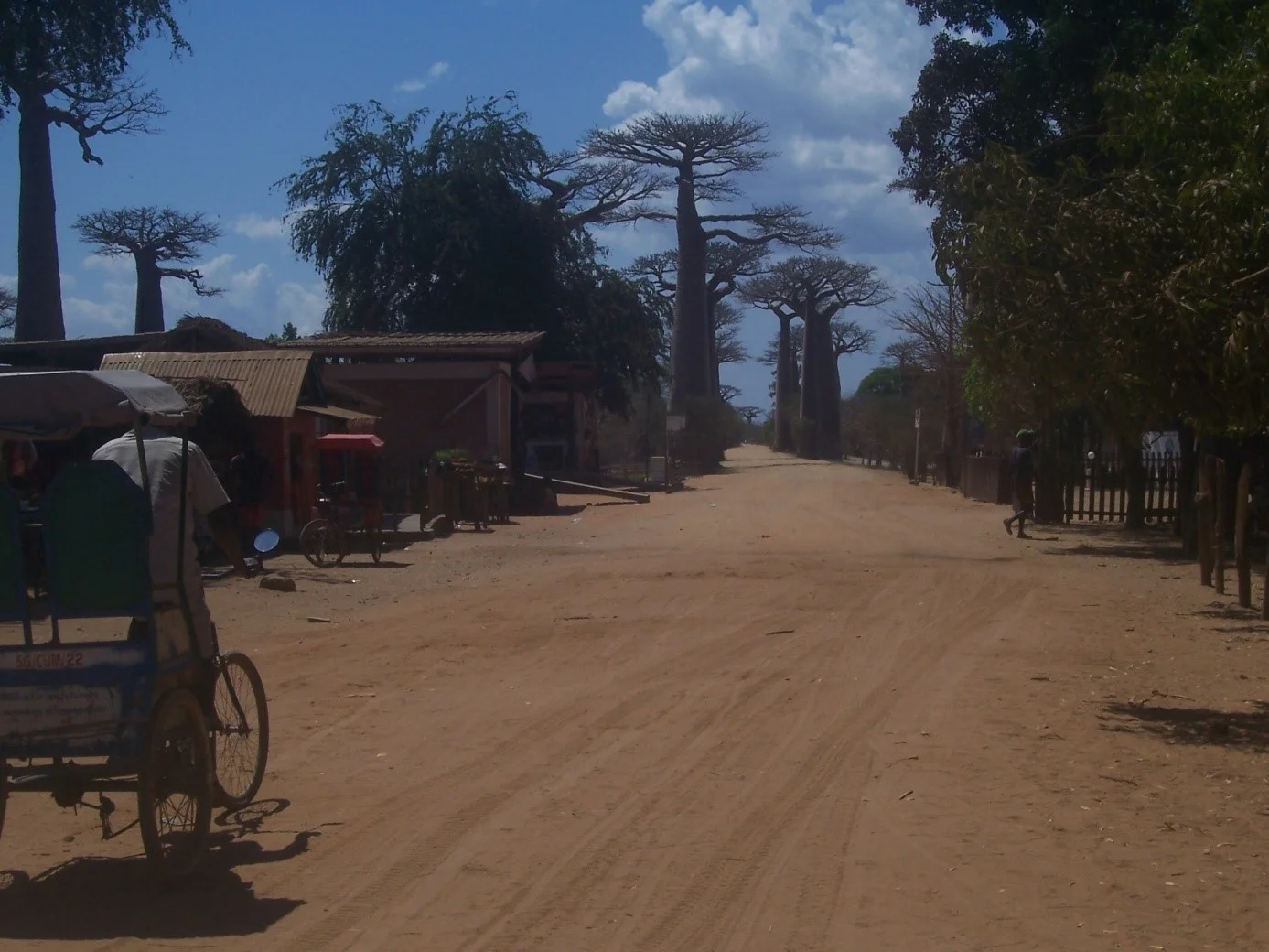 Entrance to the Avenue of the baobabs
