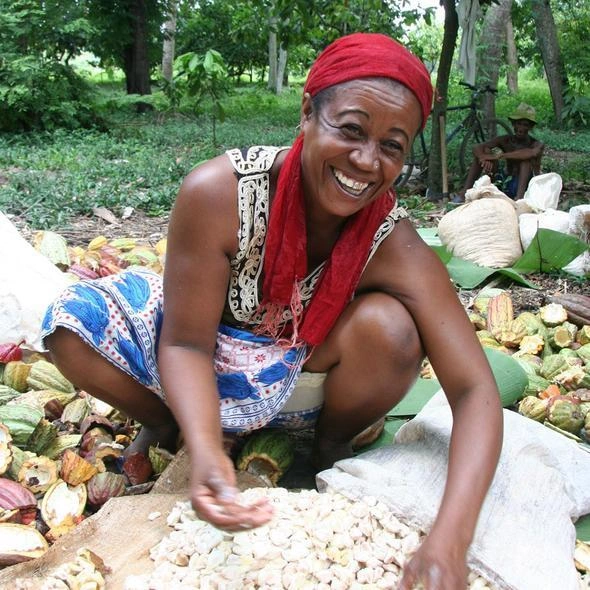 Filière cacao malgache et ses producteurs