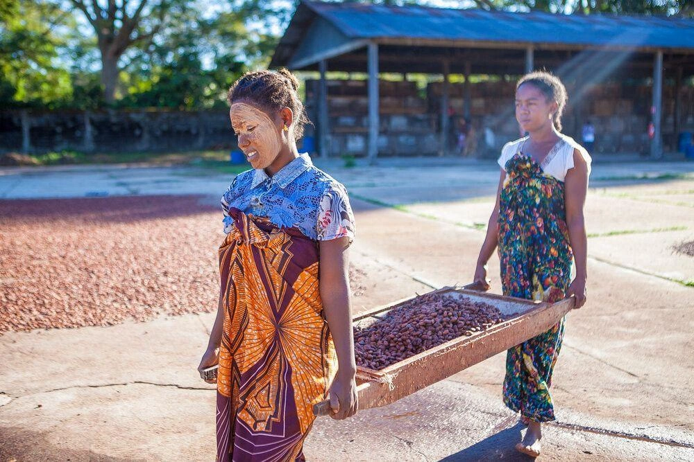 Traçabilité et durabilité de la filière cacao malgache