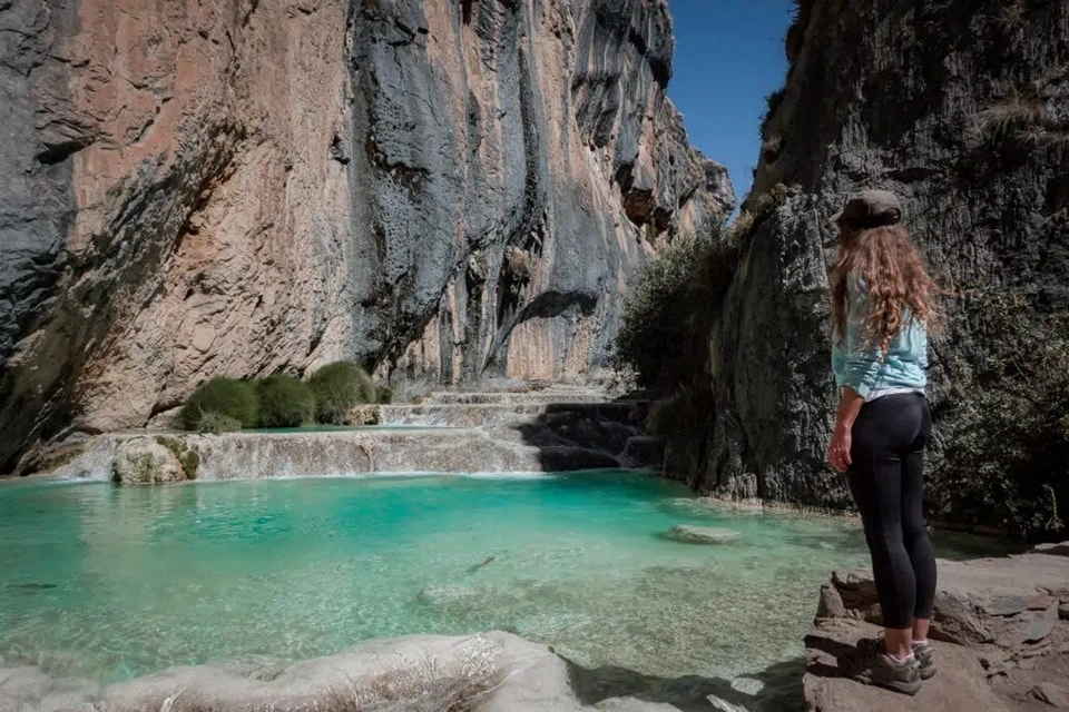 Description de l'image