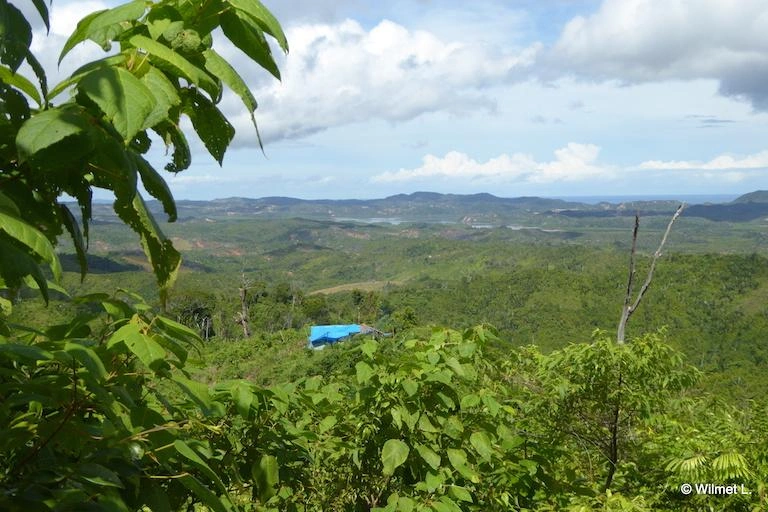 Étude environnementale et sociale — projet Ampasindava