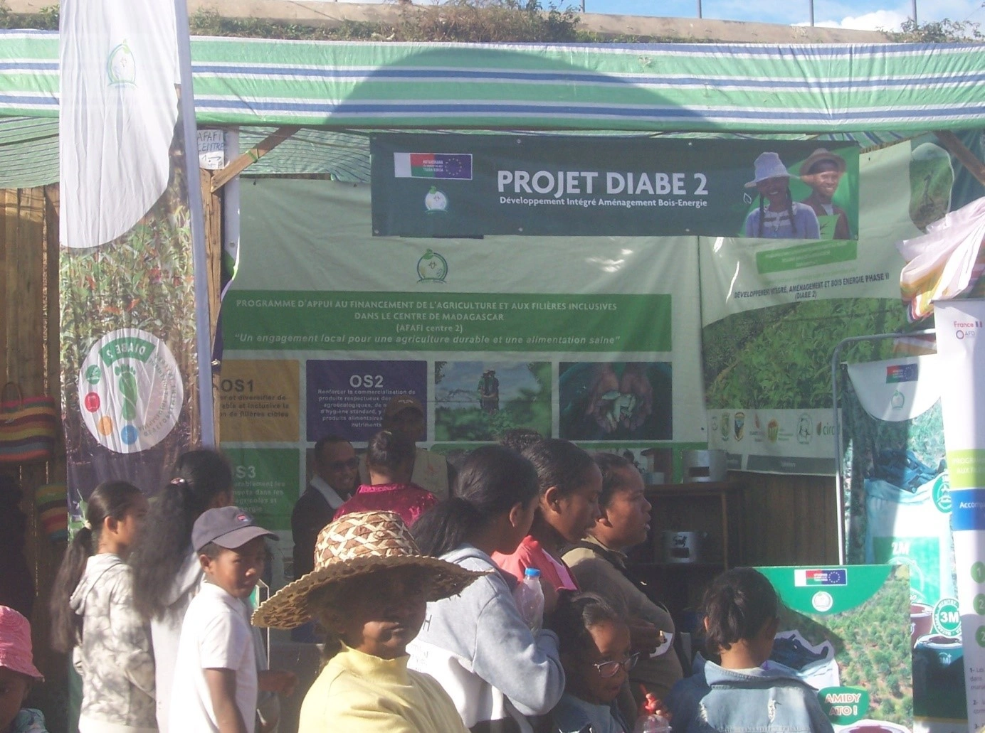 Projet DIABE2 - forêts d’eucalyptus autour d’Antananarivo